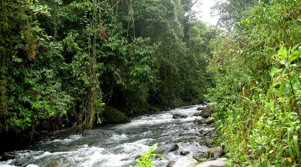 10 Parques Nacionales Naturales De Colombia Para Visitar | Canal Trece